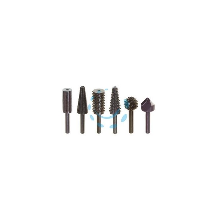 FRESA LIMA-RASPA ASSORTITE 6 PEZZI - codolo mm.6 per trapano PG 447.00