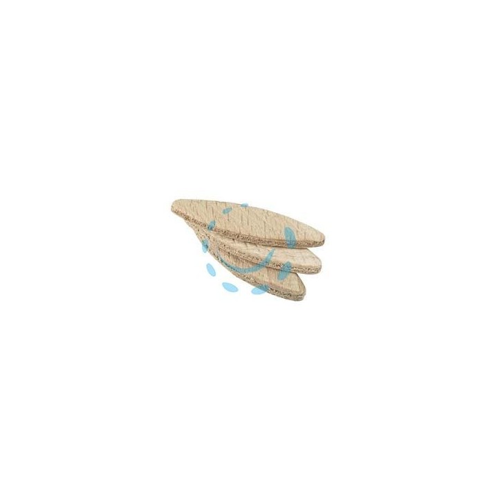 LAMELLE IN LEGNO PER SPINARE - tipo 10 mm.53x19x4 PG.669.10