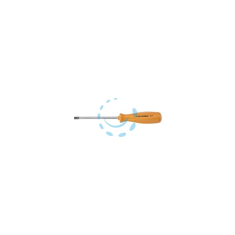 GIRAVITE CON IMPRONTA TORX - T8