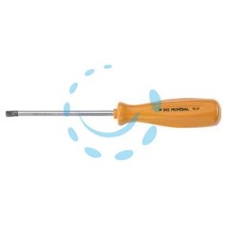 GIRAVITE CON IMPRONTA TORX - T10