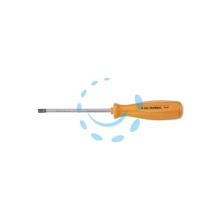 GIRAVITE CON IMPRONTA TORX - T15