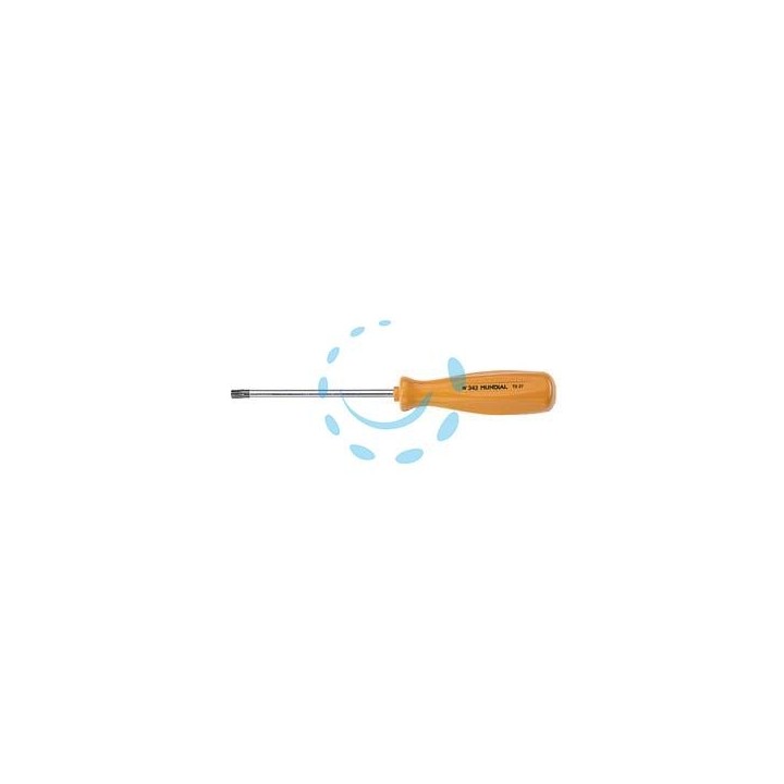 GIRAVITE CON IMPRONTA TORX - T15