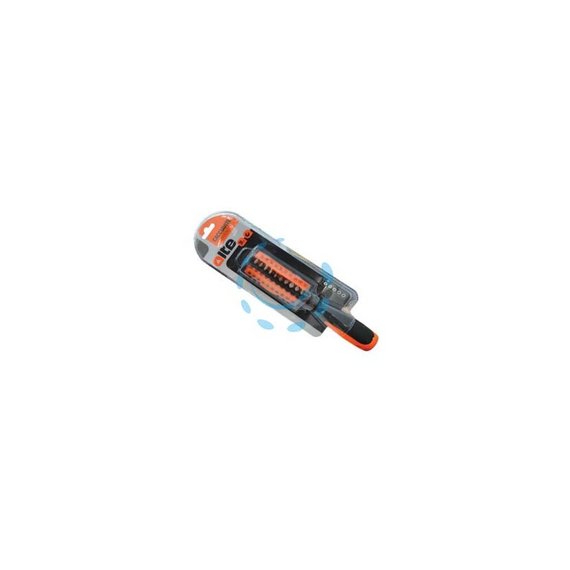 GIRAVITE PORTAINSERTI CON 31 INSERTI 