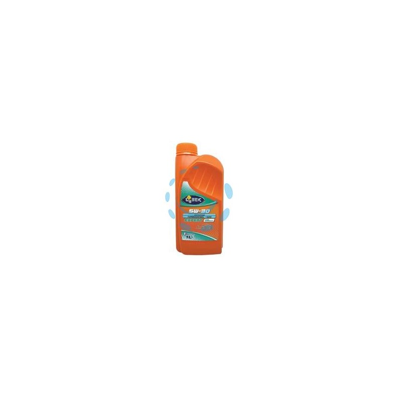OLIO SINTETICO 4 TEMPI EXPERT 5W30 MOTORI DIESEL-BENZINA-GPL LT.1 - lt.1