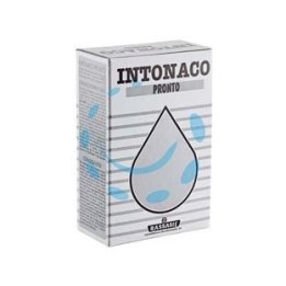 INTONACO PRONTO IN SCATOLA - Kg.1 in scatola di cartone