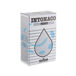 INTONACO PRONTO IN SCATOLA - Kg.1 in scatola di cartone