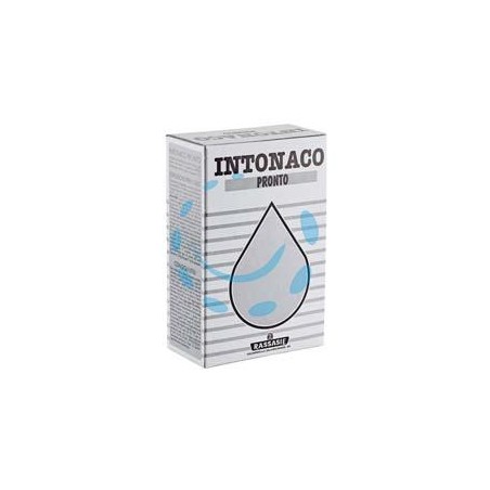 INTONACO PRONTO IN SCATOLA - Kg.1 in scatola di cartone