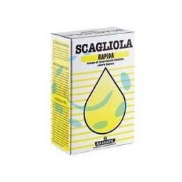 GESSO SCAGLIOLA IN SCATOLA - Kg.1 in scatola