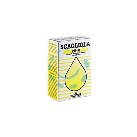 GESSO SCAGLIOLA IN SCATOLA - Kg.1 in scatola