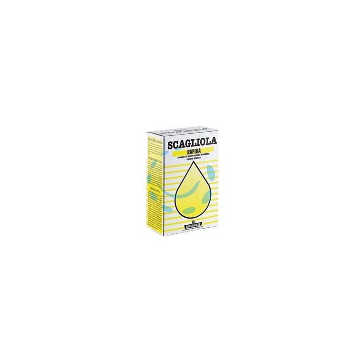 GESSO SCAGLIOLA IN SCATOLA - Kg.1 in scatola