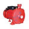 ELETTROPOMPA CENTRIFUGA SCM22 KW 0,55 