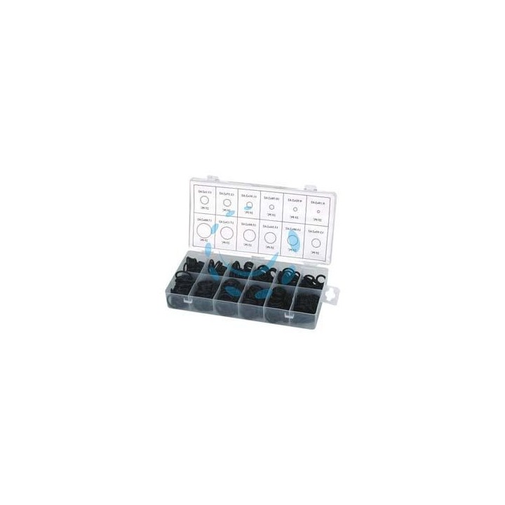 GUARNIZIONI ON-RING ASSORTITE PZ.300 