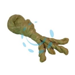 CANAPA PETTINATA 