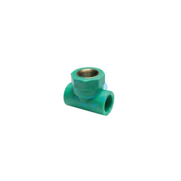 RACCORDO A T FILETTATA FEMMINA IN PPR PN25 - F ø mm.20x1/2"x20