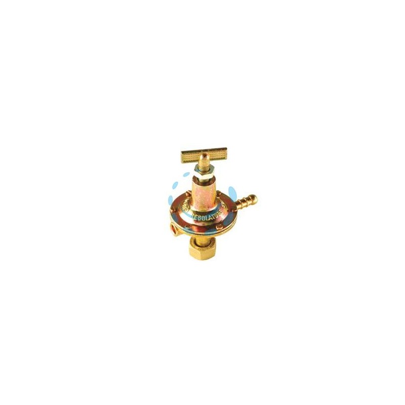REGOLATORE GAS ALTA PRESSIONE SERIE HP480 