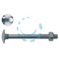 CAVICCHIA ACCIAIO TESTA TONDA CON DADO IN BLISTER - ø mm.6x30 in blister pz.15 (A)