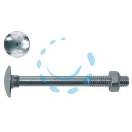 CAVICCHIA ACCIAIO TESTA TONDA CON DADO IN BLISTER - ø mm.10x60 In blister pz.5 (C)