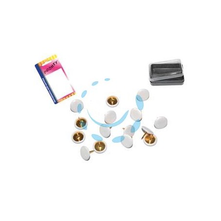 PUNTINE DA DISEGNO PLASTIFICATE BIANCHE IN BLISTER - bianco, in bl.40 pz. con scatolina