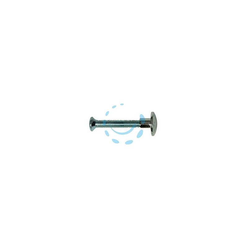NOTTOLINO OTTONE NICHELATO CON VITE vite ø mm.4x30