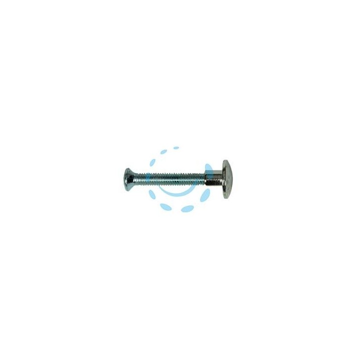 NOTTOLINO OTTONE NICHELATO CON VITE vite ø mm.4x30