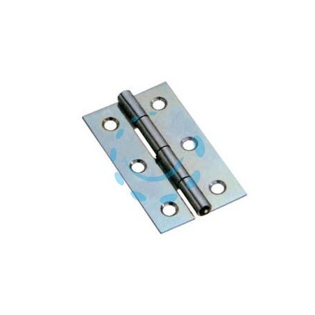 CERNIERE STRETTE PERNO FISSO ART.120 - mm.50x31x0,8 spess.