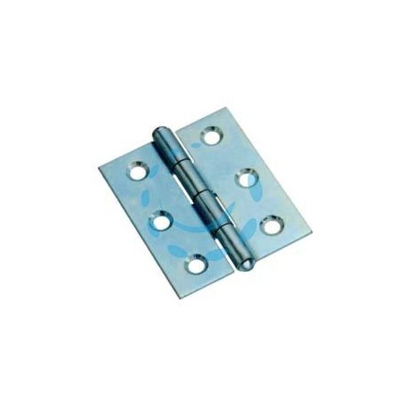 CERNIERE MEZZE LARGHE PESANTI CON PERNO FISSO ART.838 - mm.100x70x1,8 spess.