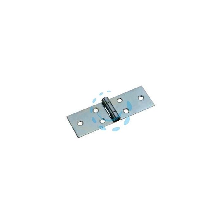 CERNIERE LUNGHE CON PERNO FISSO ART.122 - mm.28x119x1,4 spess.