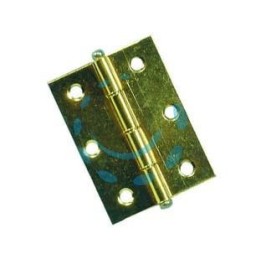 CERNIERE CON PERNO SFILABILE IN ACCIAIO OTTONATO - mm.50x40