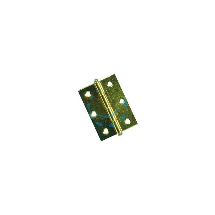 CERNIERE CON PERNO SFILABILE IN ACCIAIO OTTONATO - mm.50x40