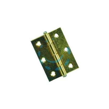 CERNIERE CON PERNO SFILABILE IN ACCIAIO OTTONATO - mm.60x50