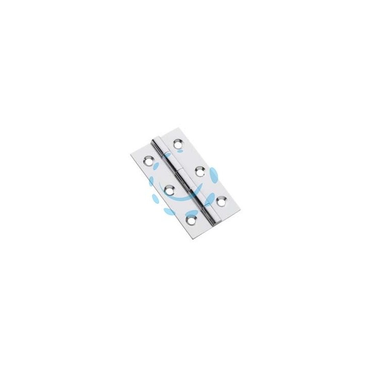 CERNIERE STRETTE IN ACCIAIO INOX PERNO FISSO - mm.50x30x1,0