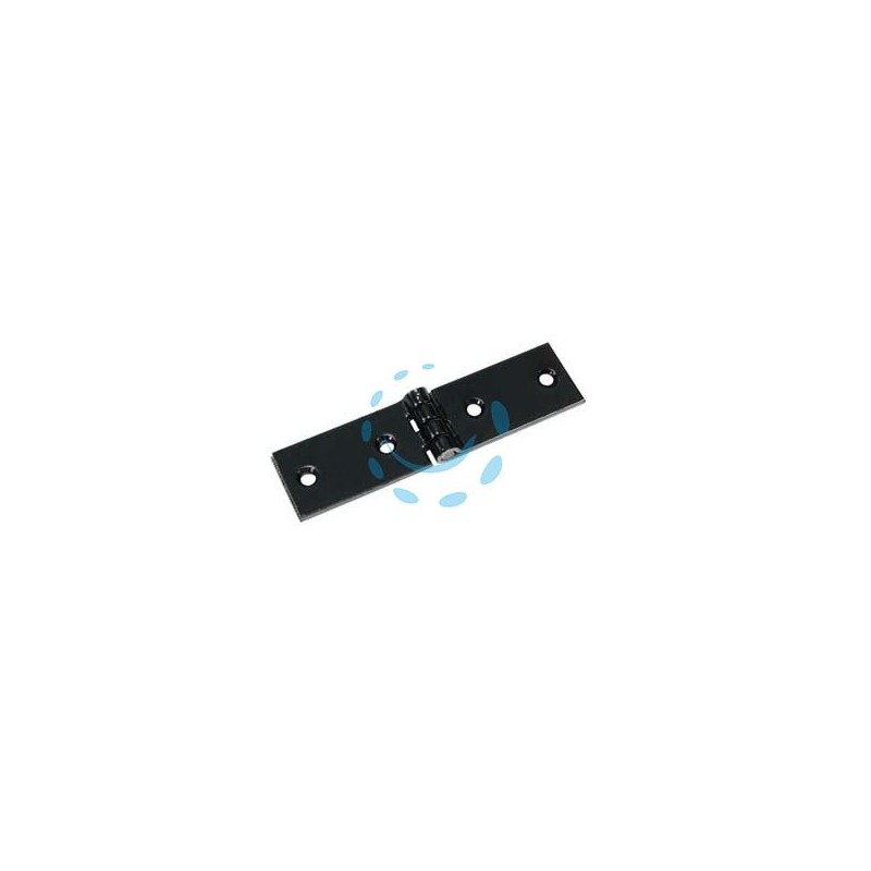 CERNIERE ASE PESANTI - cm.20x3