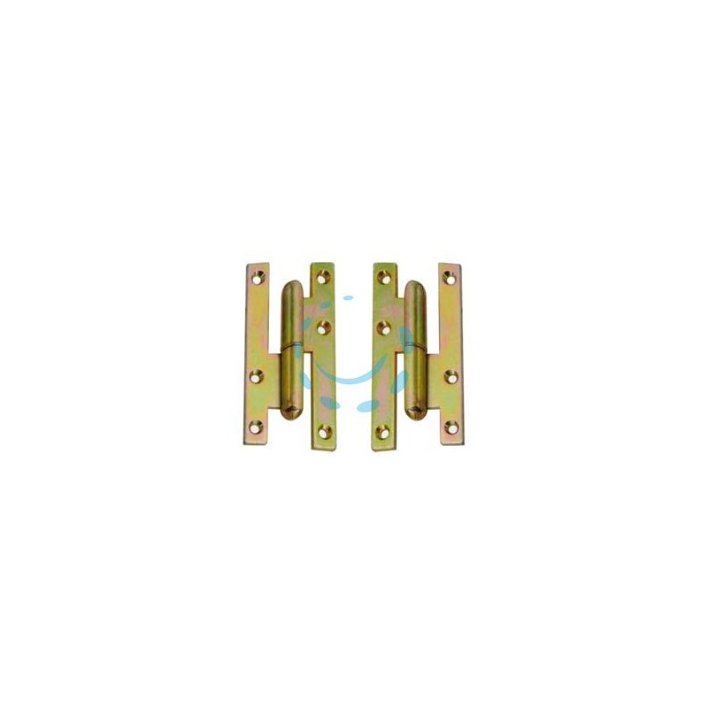 CERNIERE PAUMELLES IN ACCIAIO TROPICALIZZATO - mm.110x55x3,0 DX