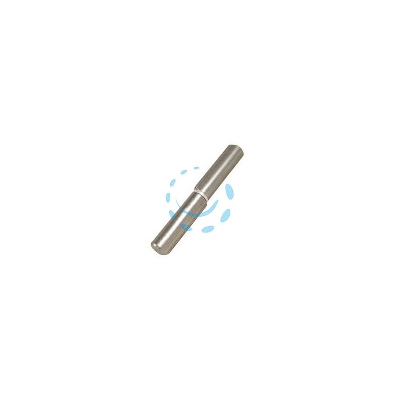 CERNIERE CON COSTA PERNO FISSO ART.255 - mm. 60x ø 10