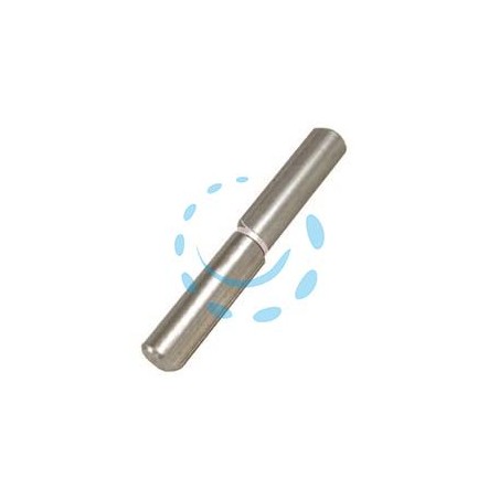 CERNIERE CON COSTA PERNO FISSO ART.255 - mm. 60x ø 10