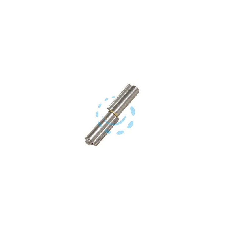 CERNIERE A DUE ALI PERNO SFILABILE ART.100 - mm. 80x ø 12