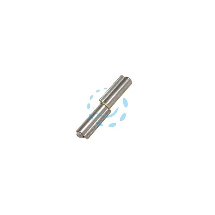 CERNIERE A DUE ALI PERNO SFILABILE ART.100 - mm.100x ø 13