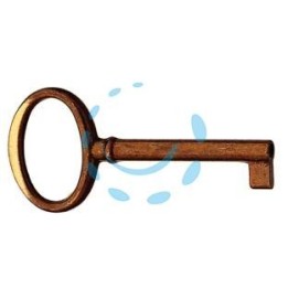 CHIAVI PER MOBILI MOD.33706 IN OTTONE PATINATO PULITO TESTA FOUME' - mm.70x34 lunghezza gambo mm.42