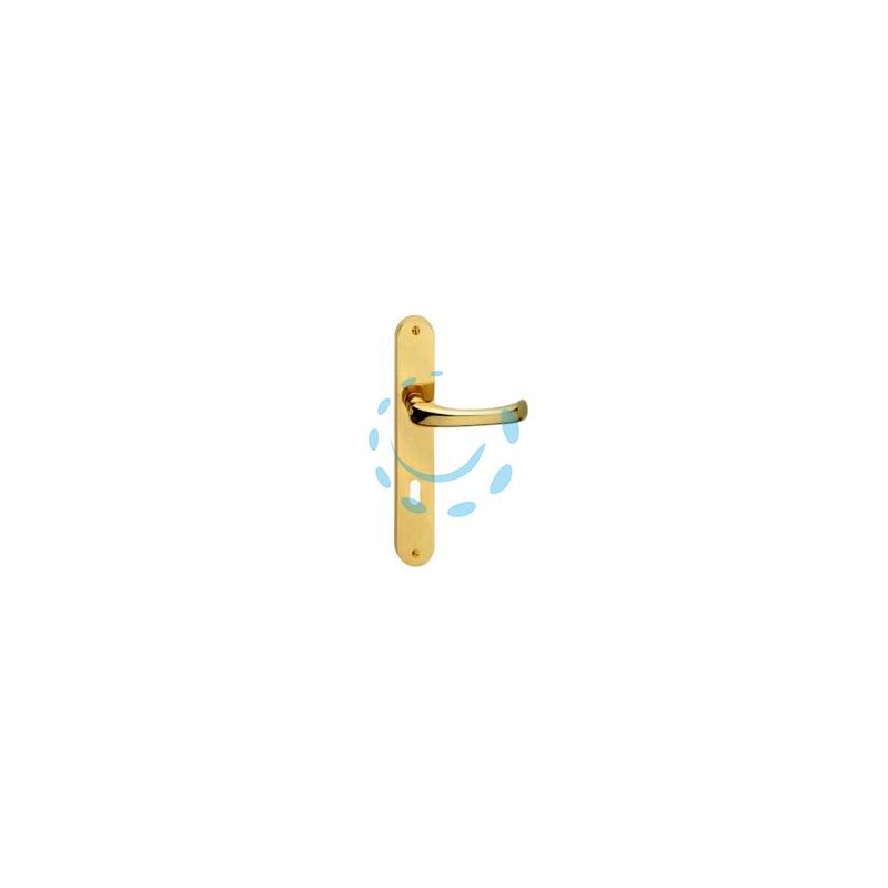 MANIGLIA RIO CON PLACCA IN OTTONE - mm.90 foro normale