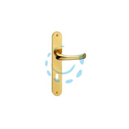 MANIGLIA RIO CON PLACCA IN OTTONE - mm.90 foro normale