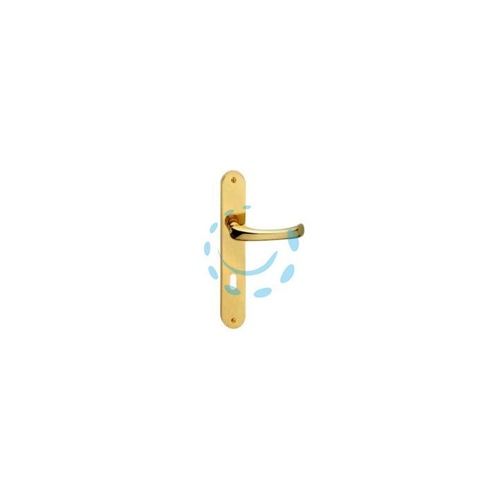 MANIGLIA RIO CON PLACCA IN OTTONE - mm.90 foro normale
