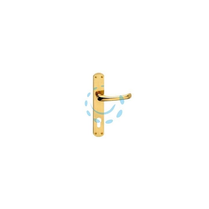 MANIGLIA RIO CON PLACCA IN OTTONE - mm.90 foro yale