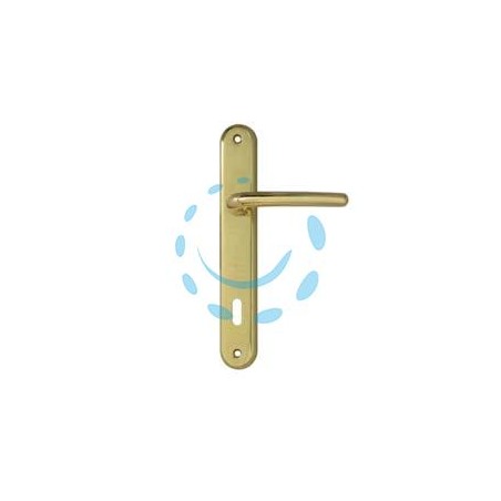MANIGLIA TORINO CON PLACCA IN ZAMA FINITURA OTTONE LUCIDO - mm.70 foro normale