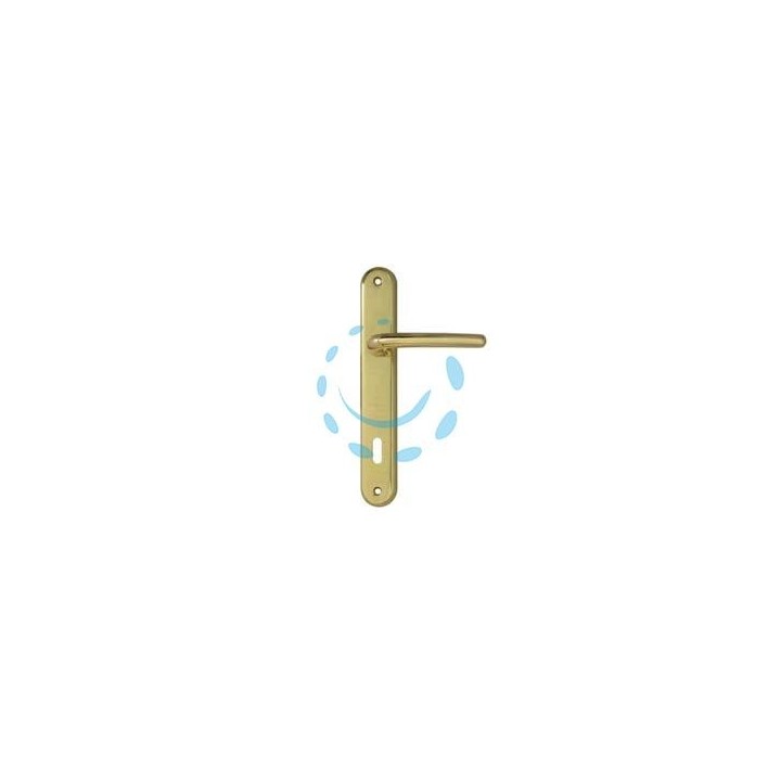 MANIGLIA TORINO CON PLACCA IN ZAMA FINITURA OTTONE LUCIDO - mm.70 foro normale