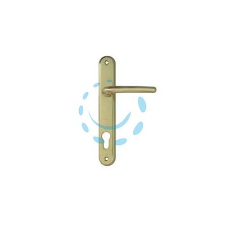 MANIGLIA TORINO CON PLACCA FORO YALE IN ZAMA FINITURA OTTONE LUCIDO - mm.85 foro yale