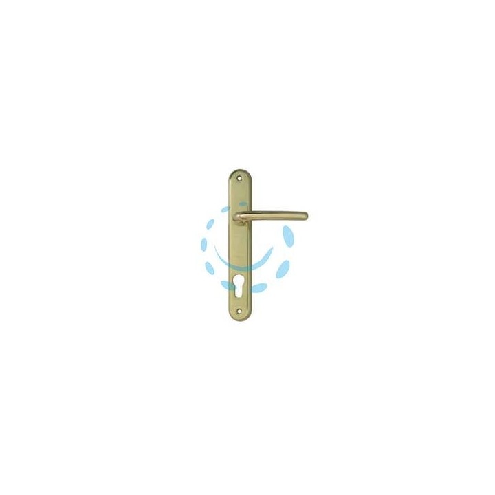MANIGLIA TORINO CON PLACCA FORO YALE IN ZAMA FINITURA OTTONE LUCIDO - mm.85 foro yale