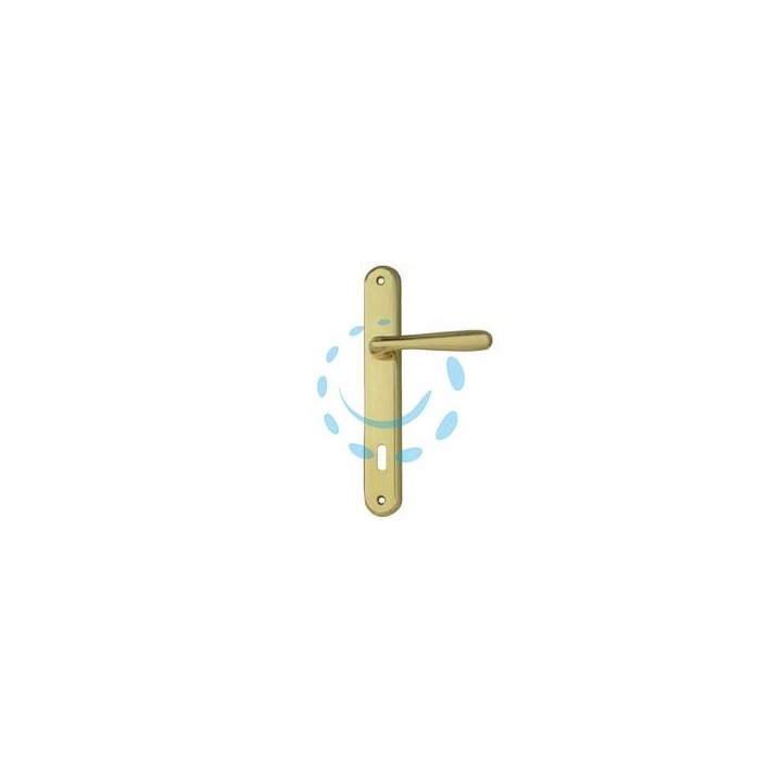 MANIGLIA GOCCIA CON PLACCA IN ZAMA FINITURA OTTONE LUCIDO - mm.90 foro normale
