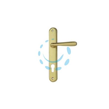 MANIGLIA KAROL CON PLACCA FORO YALE IN ZAMA FINITURA OTTONE LUCIDO - mm.90 foro yale
