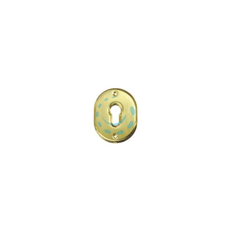 BOCCHETTA OVALE IN OTTONE LUCIDO PER CILINDRI SAGOMATI 316L - mm.70x90h. spessore mm.4 (316L/OLV)