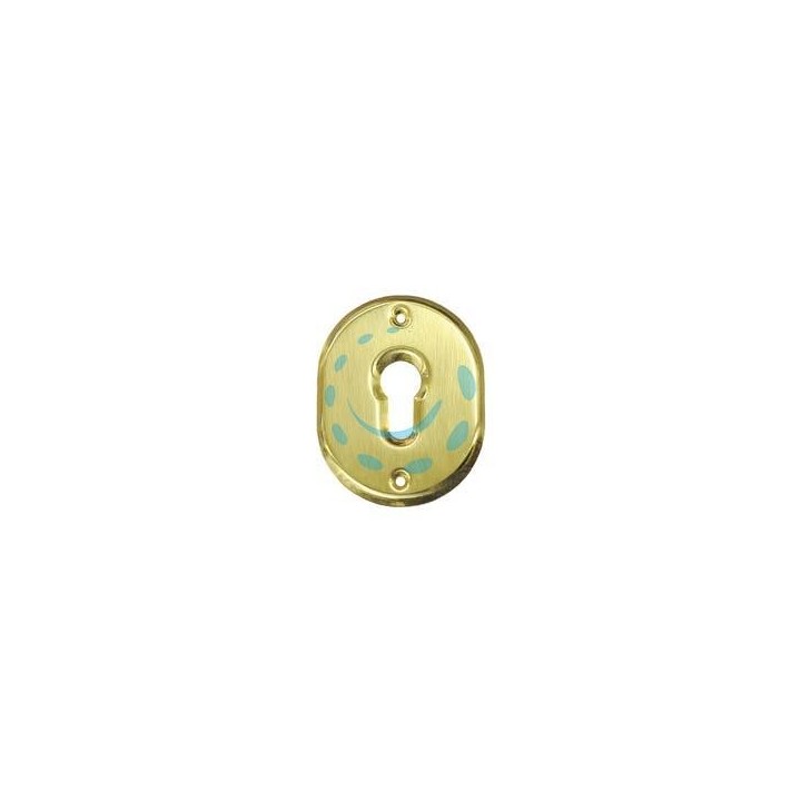 BOCCHETTA OVALE IN OTTONE LUCIDO PER CILINDRI SAGOMATI 316L - mm.70x90h. spessore mm.4 (316L/OLV)